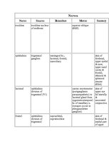 Kutatási anyagok 'Anatomy of the Eye', 21.                