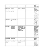 Kutatási anyagok 'Anatomy of the Eye', 22.                