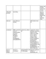 Kutatási anyagok 'Anatomy of the Eye', 23.                