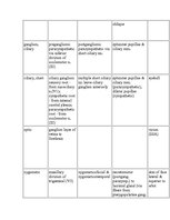 Kutatási anyagok 'Anatomy of the Eye', 24.                