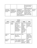 Kutatási anyagok 'Anatomy of the Eye', 25.                