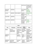 Kutatási anyagok 'Anatomy of the Eye', 26.                