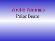 Prezentációk 'Arctic Animals - Polar Bears', 1.                