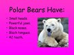 Prezentációk 'Arctic Animals - Polar Bears', 3.                