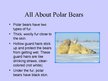 Prezentációk 'Arctic Animals - Polar Bears', 4.                