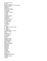 Esszék 'A Kinesiological Analysis of the "Barbell Squat"', 2.                