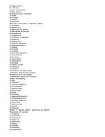 Esszék 'A Kinesiological Analysis of the "Barbell Squat"', 3.                