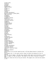 Esszék 'A Kinesiological Analysis of the "Barbell Squat"', 4.                