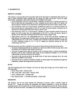 Üzleti tervek 'Bonus Video Business Plan', 12.                