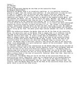 Esszék 'Fine Art', 1.                