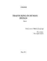 Kutatási anyagok 'Trafficking in Human Beings', 1.                