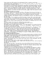 Esszék 'The Brain by Sexy Body', 2.                