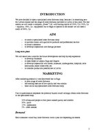 Üzleti tervek 'Specialized Footwear Shop', 1.                