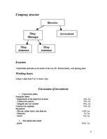 Üzleti tervek 'Specialized Footwear Shop', 3.                