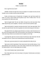 Kutatási anyagok 'Tigers', 1.                