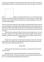 Kutatási anyagok 'Tigers', 2.                