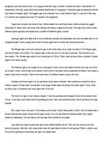 Kutatási anyagok 'Tigers', 4.                