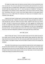 Kutatási anyagok 'Tigers', 10.                