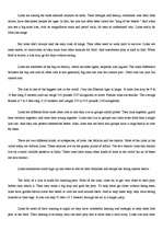 Kutatási anyagok 'Tigers', 11.                