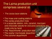 Prezentációk 'The Company "Laima"', 7.                