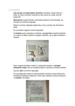 Összefoglalók, jegyzetek 'Mezőgazdasági és ipari termelés, kereskedelem a középkorban és a kora újkorban', 3.                