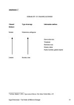 Kutatási anyagok 'The Profile of Efeective Manager', 30.                