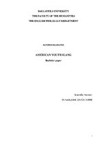 Záródolgozatok 'American Youth Slang', 1.                