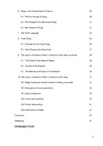 Záródolgozatok 'American Youth Slang', 6.                