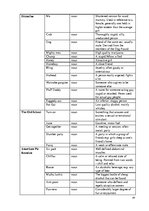 Záródolgozatok 'American Youth Slang', 69.                