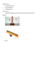 Összefoglalók, jegyzetek 'A kétkarú emelő viselkedésének vizsgálata', 2.                