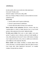 Záródolgozatok 'Child in the Novel "Alice’s Adventures in Wonderland" by Lewis Carroll', 5.                