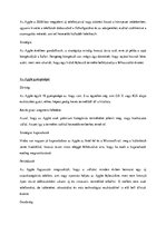 Kutatási anyagok 'Apple Inc. Elemzés', 4.                