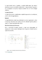 Kutatási anyagok 'Apple Inc. Elemzés', 10.                