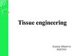 Prezentációk 'Tissue Engineering', 1.                
