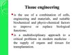 Prezentációk 'Tissue Engineering', 2.                