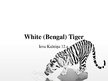 Prezentációk 'White Bengal Tiger', 1.                