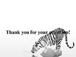 Prezentációk 'White Bengal Tiger', 11.                