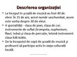 Prezentációk 'Organization's Management', 5.                