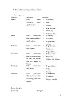 Minták 'Database. Modeling Base Structure', 4.                