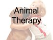 Prezentációk 'Animal Therapy', 1.                