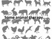 Prezentációk 'Animal Therapy', 5.                