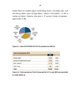 Záródolgozatok 'Competitiveness of J/S Company "Kometa" in the World Market', 45.                