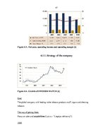 Záródolgozatok 'Competitiveness of J/S Company "Kometa" in the World Market', 46.                