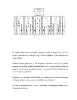 Záródolgozatok 'Competitiveness of J/S Company "Kometa" in the World Market', 105.                