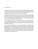 Összefoglalók, jegyzetek 'Berlin - Metropolis in the Heart of Europe', 3.                