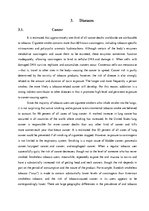 Kutatási anyagok 'The Psychology of Smoking', 7.                