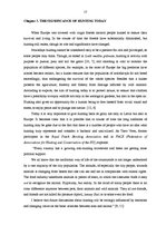 Kutatási anyagok 'Terminology in Hunting', 17.                