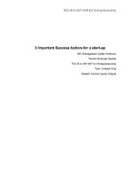 Esszék 'Three Important Success Factors for a Start-up', 1.                