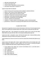 Összefoglalók, jegyzetek 'Logistikos samprata', 3.                