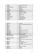 Összefoglalók, jegyzetek 'Logistik und Transport', 3.                